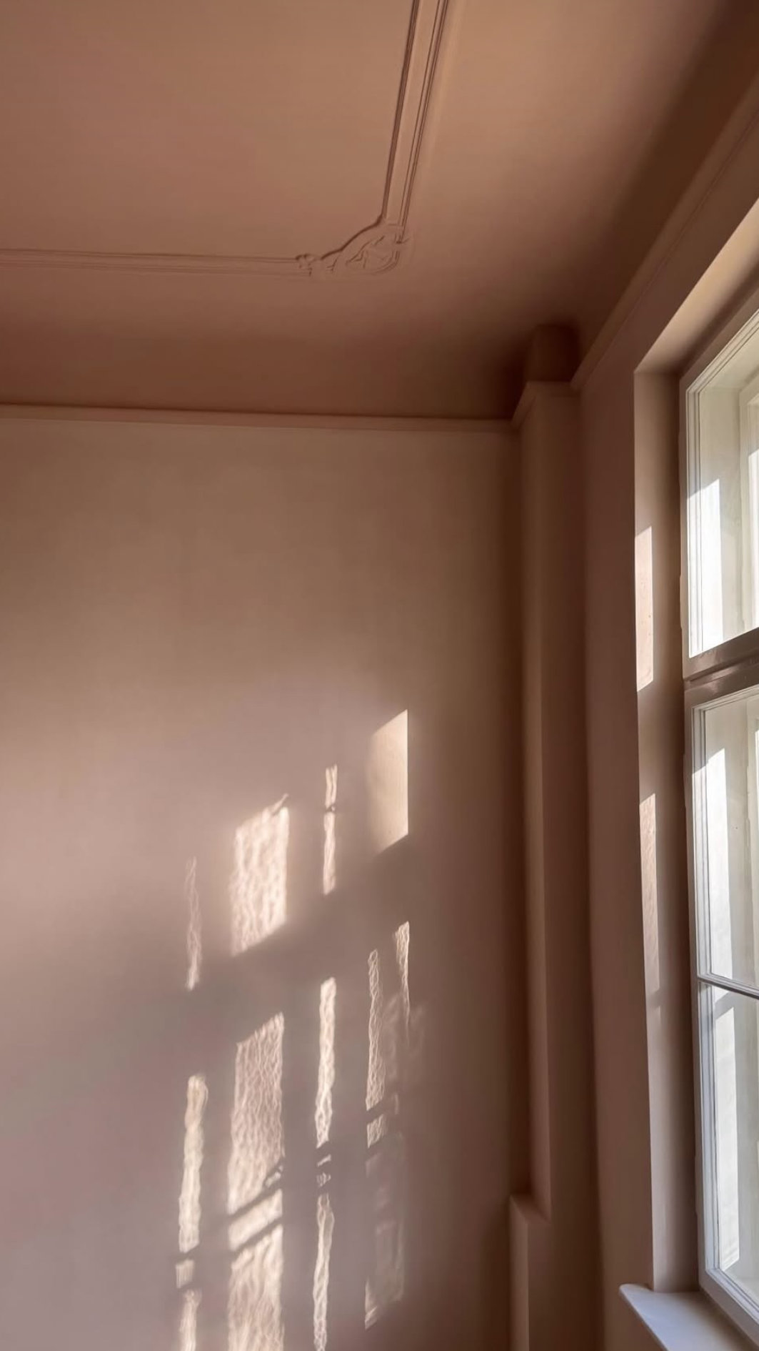 Interior Design - Anna Ebert